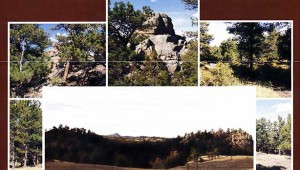 Ponderosa Estates